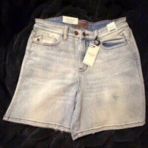 Judy Blue HW Slim Denim Shorts